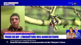 Prix de l'énergie: "Le bilan va être catastrophique", anticipe ce céréalier
