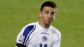 Vedad Ibisevic