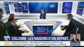 Gérard Collomb: les raisons d'un départ annoncé