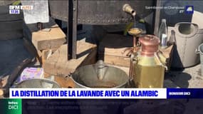 Alpes-de-Haute-Provence: la distillation de la lavande avec un alambic