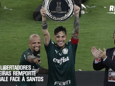 Copa Libertadores : Palmeiras remporte la finale face à Santos