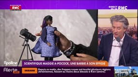 Portrait de la scientifique Maggie A-Pocock, qui a une Barbie à son effigie