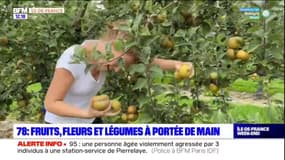 Ariane a testé la cueillette de fruits, légumes et fleurs à la ferme de Gally !