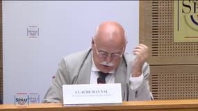 Commission d'enquête sur le Fonds Marianne: "Il apparaît en effet très clairement que le cabinet et la ministre déléguée ont outrepassé leur rôle", soulève Claude Raynal