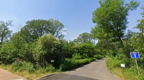 La forêt domaniale de Notre-Dame