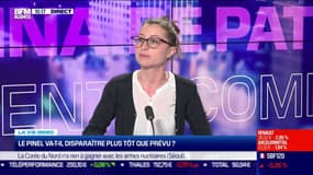 Le Pinel va-t-il disparaître plus vite que prévu ?