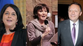 Sylvia Pinel, Annick Girardin et Thierry Braillard sont les nouvelles figures du PRG au gouvernement.