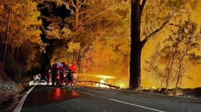 Le feu de forêt, qui a brûlé environ 5000 hectares sur un périmètre de 50 kilomètres, a encore mobilisé 225 pompiers dans la nuit de vendredi à samedi. 
