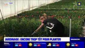 Alpes du Sud: malgré les beaux jours il est encore trop tôt pour planter