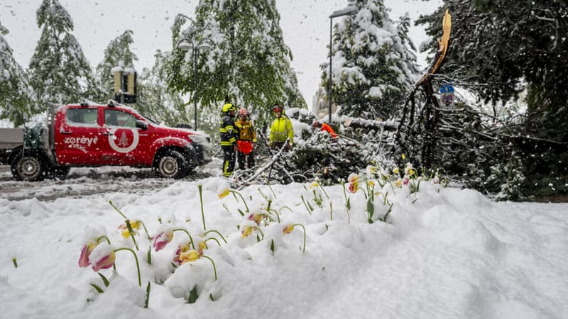 Des pompiers dégagent un arbre tombé sur une route dans les Alpes suisses le 17 avril 2025.