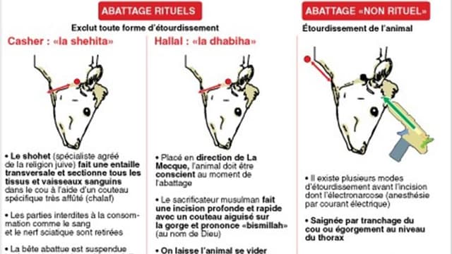 LES DIFFÉRENTS MODES D?ABATTAGE D'UN ANIMAL
