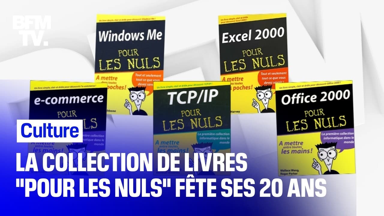 Collection "Pour Les Nuls": Les Livres Jaunes Fêtent Leurs 20 Ans