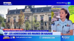 Île-de-France: des outils mis à la disposition des élus en cas d'agression