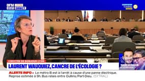 Changement climatique: "c'est déjà la catastrophe" dans la région, alerte l'élue écologiste Fabienne Grébert