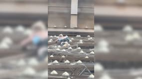 Un homme a été interpellé ce dimanche 11 août 2024, après avoir escaladé la Tour Eiffel