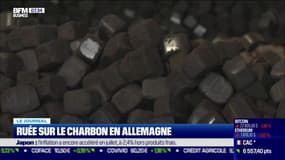 Allemagne : les particuliers se ruent sur le charbon,