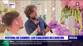 Festival de Cannes: dans les coulisses du Carlton
