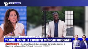 Affaire Traoré: comment se déroulera la nouvelle expertise médicale ordonnée par les juges ?