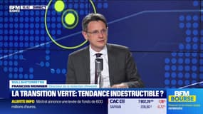 Bullshitomètre : La transition verte, tendance indestructible ? - FAUX répond François Monnier - 11/06