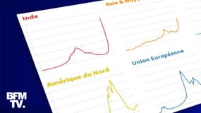 INFOGRAPHIE. Il n'y a jamais eu autant de cas de Covid-19 dans le monde depuis le début de la pandémie