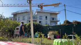 Deux arbres centenaires protégés ont été abattus par un promoteur immobilier à Villefranche-sur-Saône.