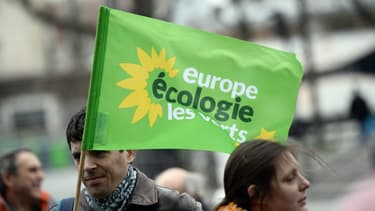 Un drapeau d'EELV le 26 mars 2016 à Paris.