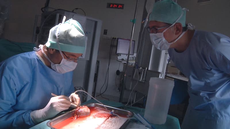 Greffe de rein au CHU de Toulouse