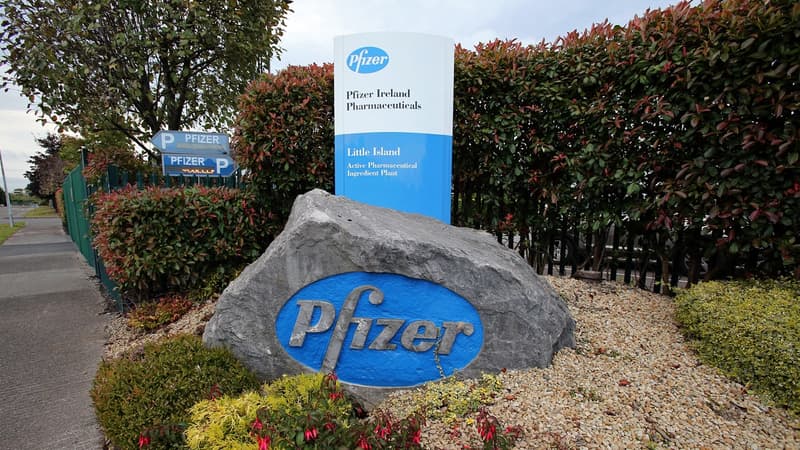 Le laboratoire Pfizer va racheter les actions de Medivation à 81,5 dollars l'une.