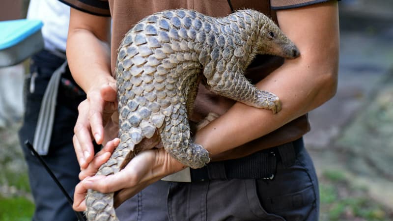 Photo d'illustration