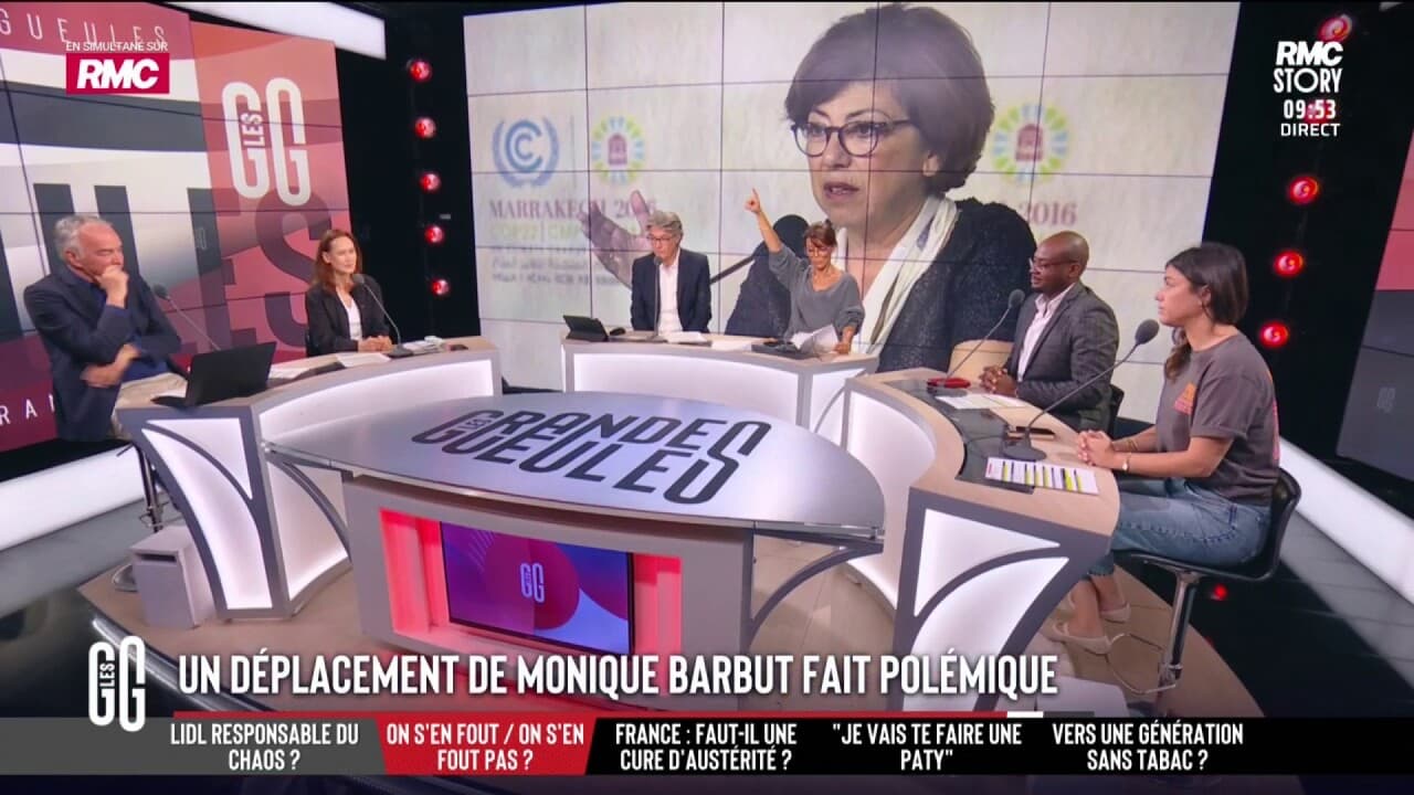 Le déplacement polémique de la ministre de la Transition écologique Monique Barbut