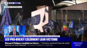 Les pro-Brexit célèbrent leur victoire - 31/01