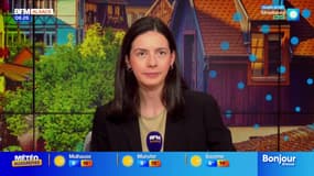 Bonjour Alsace du mardi 11 novembre 2025