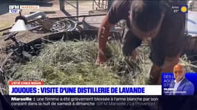 L'été chez nous: visite d'une distillerie de lavande à Jouques