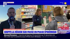 Provence-Alpes-Côte d'Azur: la région en phase épidémique pour la grippe