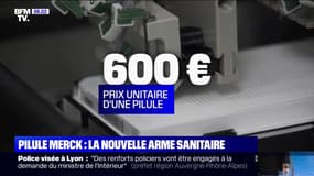 Traitement contre le Covid-19: la France commande 50.000 doses de la pilule du laboratoire Merck
