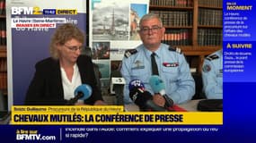 Chevaux mutilés: une expertise psychiatrique diligentée "à distance des faits", annonce la Procureure du Havre