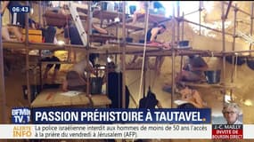 Une semaine en...: Passion préhistoire à Tautavel