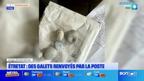 Étretat: des galets renvoyés par la poste après un appel lancé à la télévision