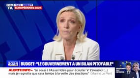 Montée de l'extrême droite en Europe: "Si on arrive à s'unir, on peut être le deuxième groupe du Parlement européen" affirme Marine Le Pen