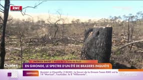 En Gironde, le spectre d'un été de brasiers inquiète
