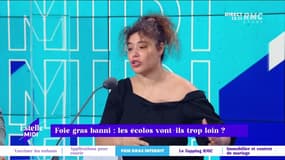 Foie gras banni : les écolos vont-ils trop loin ? - 26/11