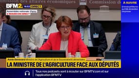 La ministre de l'Agriculture affirme que "la ferme France plie dangereusement" face aux normes