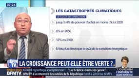 La croissance peut-elle être verte ?