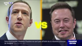 Elon Musk et Mark Zuckerberg veulent s'affronter dans un combat de MMA