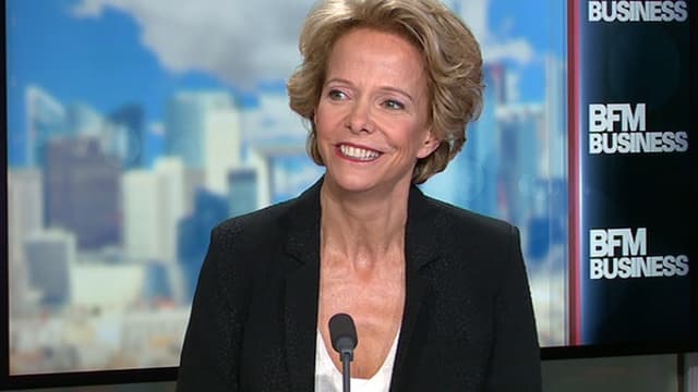 La patronne du CNC a expliqué que la ministre de la Culture Fleur Pellerin s'est saisie du dossier