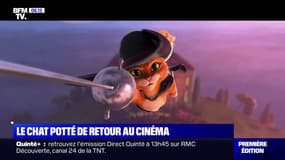 Le Chat Potté fait son retour au cinéma pour "La dernière quête"