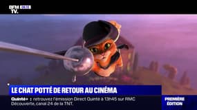 Le Chat Potté fait son retour au cinéma pour "La dernière quête"