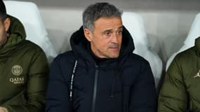 Luis Enrique lors du match de Ligue des champions entre le PSG et Stuttgart - le 28/01/2025