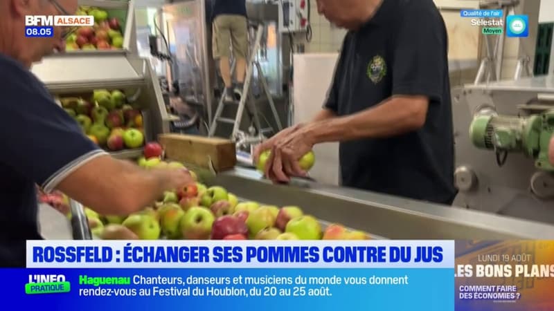 À Rossfeld, les particuliers peuvent ramener leurs pommes pour les transformer en jus