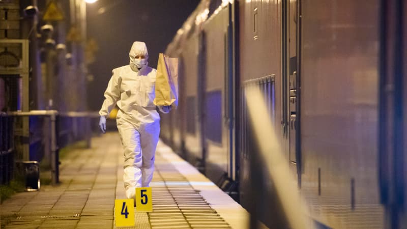Allemagne: l'attaque au couteau dans un train régional n'avait pas de mobile 